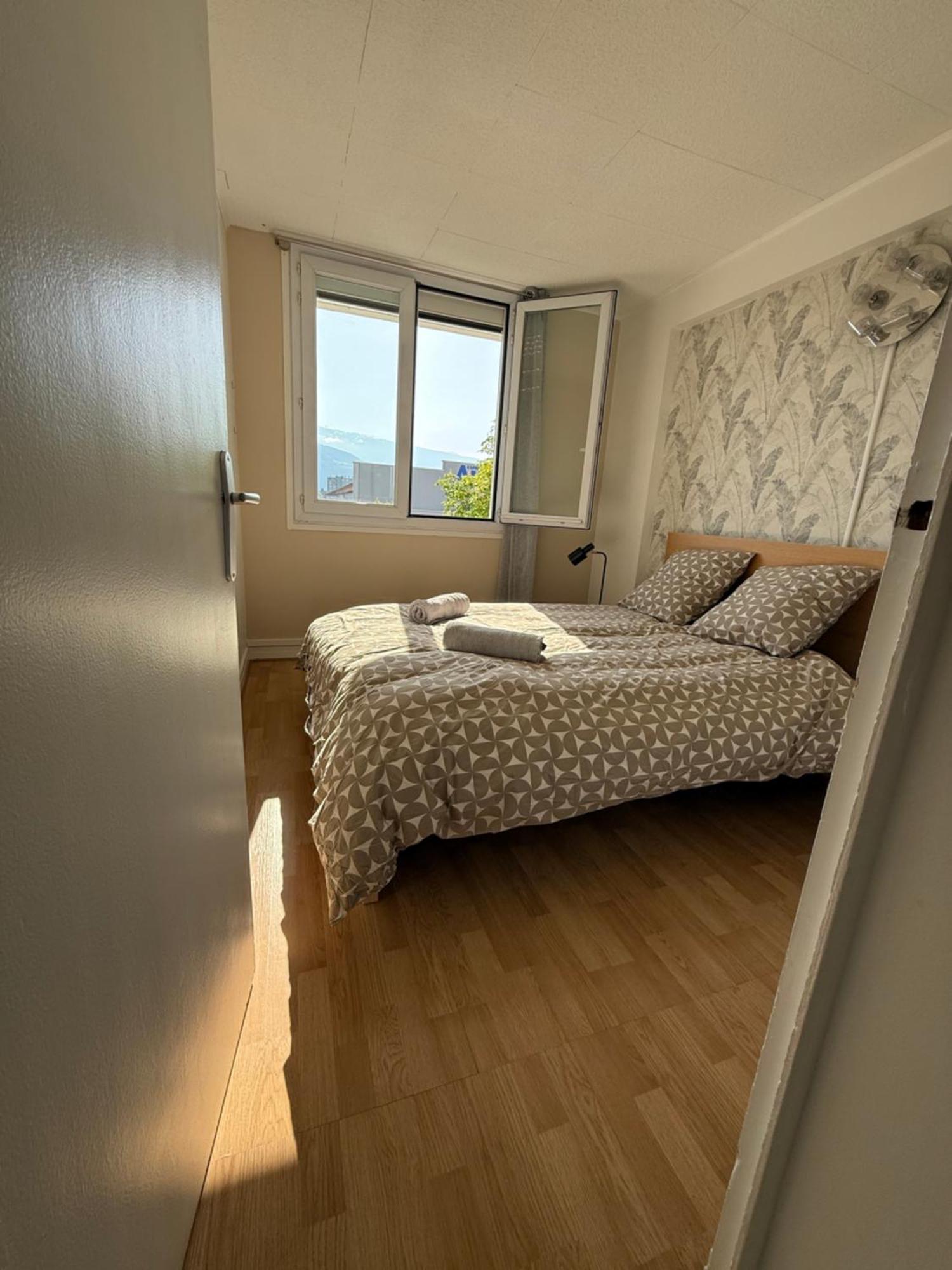 Апартаменты Superbe Duplex Avec Parking Gratuit Гренобль Экстерьер фото